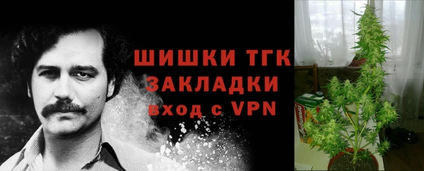 гидра Аркадак