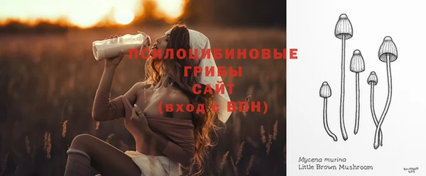 гидра Аркадак