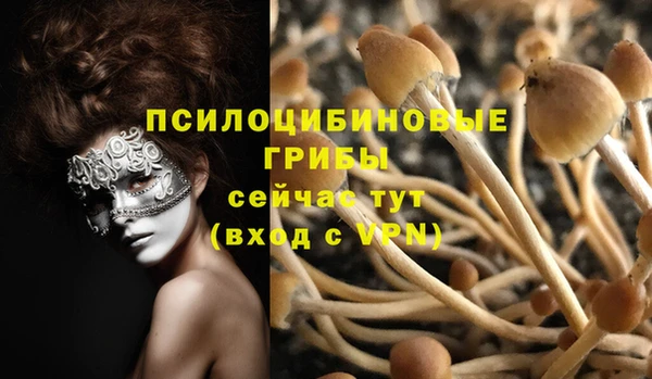 мескалин Армянск